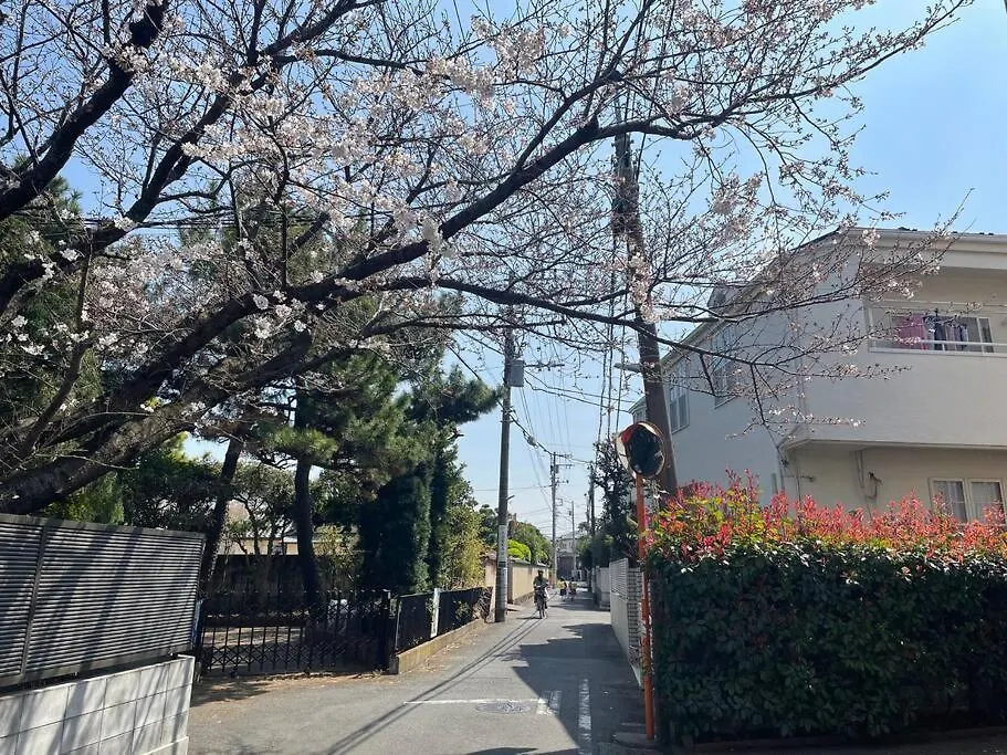 近沙滩 冲浪圣地 鵠沼海岸独立式公寓 独立卫生间 带厨房 有洗衣机 Fudžisawa Apartmán
